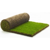 TURF PER SQUARE METRE