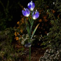 Solar Flower Stake Light - Crocus