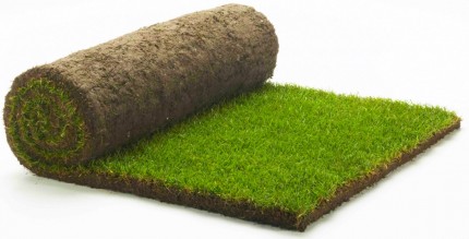 TURF PER SQUARE METRE